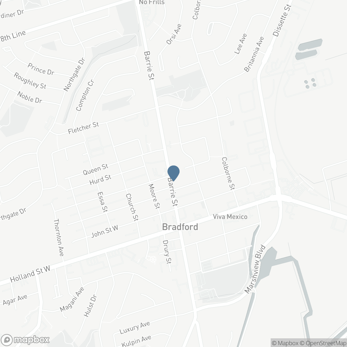 105 BARRIE STREET, Bradford West Gwillimbury, Ontario L9S 2C9